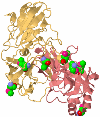 Image Biological Unit 6