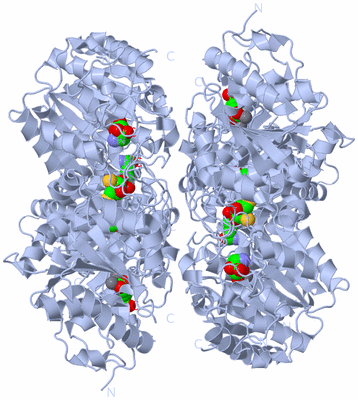 Image Biological Unit 2