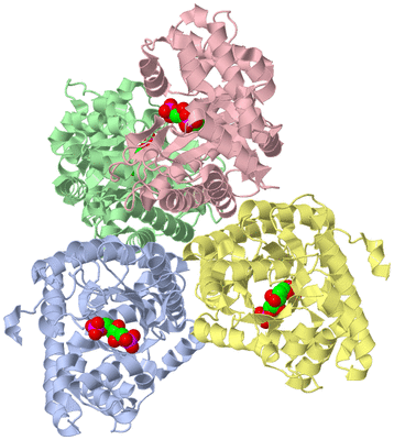 Image Asym./Biol. Unit