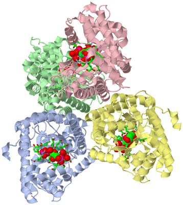 Image Asym./Biol. Unit - sites