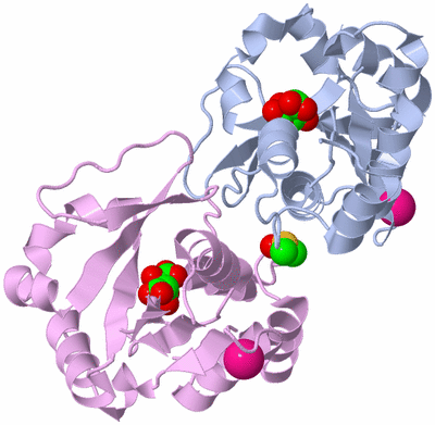 Image Biological Unit 1