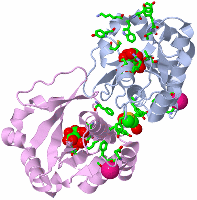 Image Biol. Unit 1 - sites