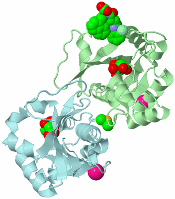 Image Biological Unit 2