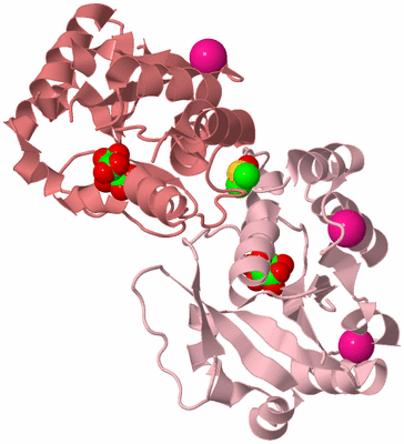 Image Biological Unit 3