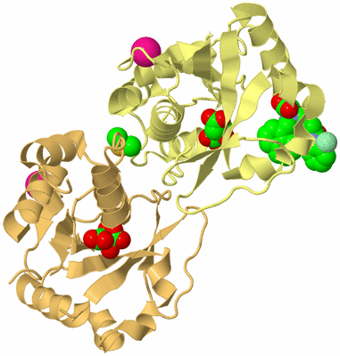 Image Biological Unit 4