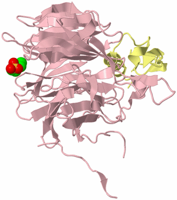 Image Biological Unit 2