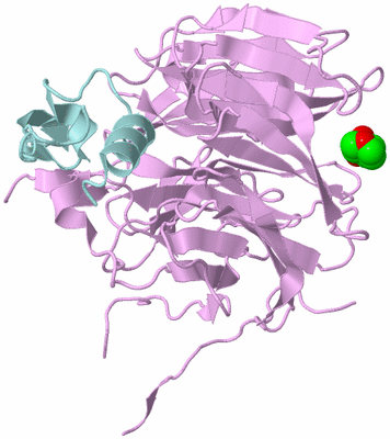 Image Biological Unit 3