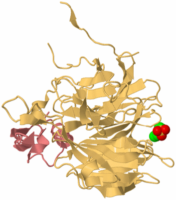 Image Biological Unit 4