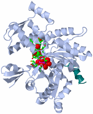 Image Biol. Unit 1 - sites