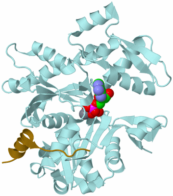 Image Biological Unit 2