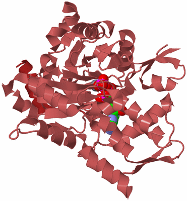 Image Biological Unit 3