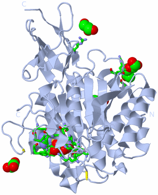 Image Biol. Unit 1 - sites