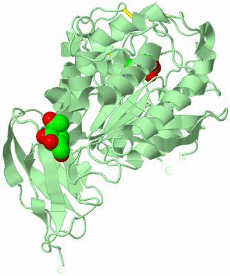 Image Biological Unit 2