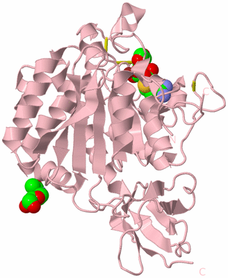 Image Biological Unit 3