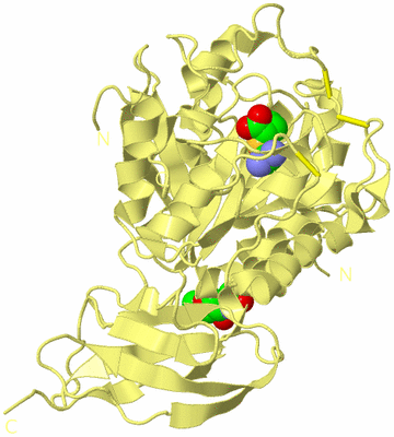 Image Biological Unit 4