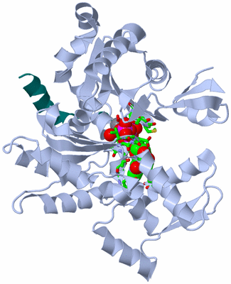 Image Asym./Biol. Unit - sites