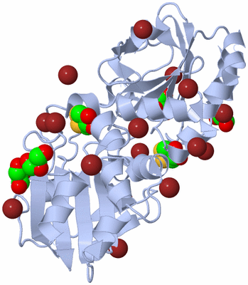 Image Biological Unit 1