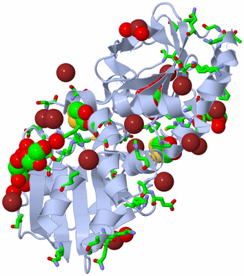 Image Biol. Unit 1 - sites