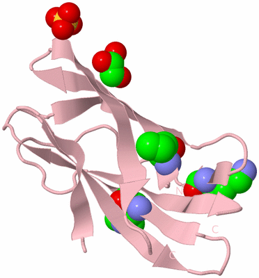 Image Biological Unit 3