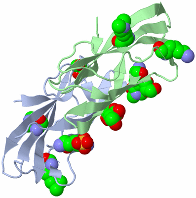 Image Biological Unit 4