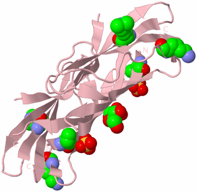 Image Biological Unit 5