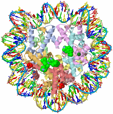 Image Asym./Biol. Unit