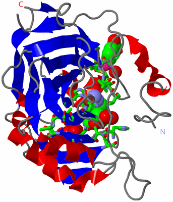 Image Asym./Biol. Unit - sites