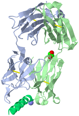 Image Biological Unit 1