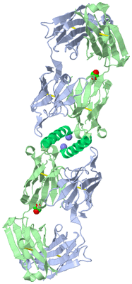 Image Biological Unit 2