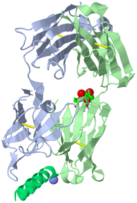 Image Asym. Unit - sites