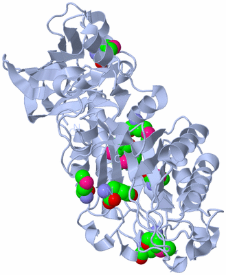 Image Biological Unit 1