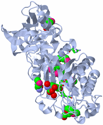 Image Biol. Unit 1 - sites