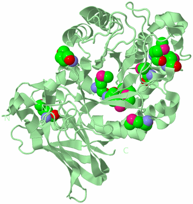 Image Biological Unit 2