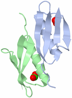 Image Biological Unit 3