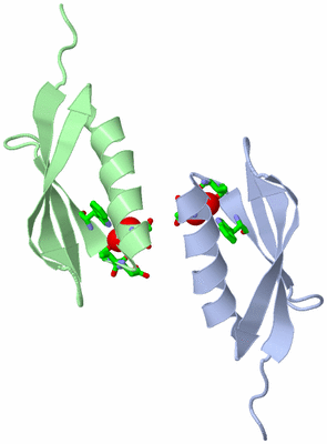 Image Asym. Unit - sites