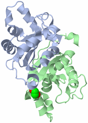 Image Biological Unit 1