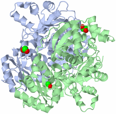 Image Biological Unit 2