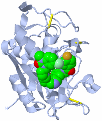 Image Biological Unit 1