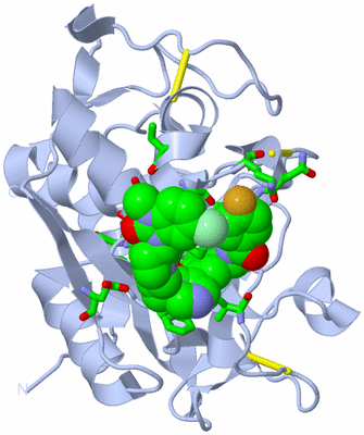 Image Biol. Unit 1 - sites