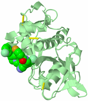 Image Biological Unit 2