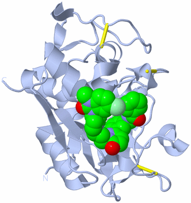 Image Biological Unit 1