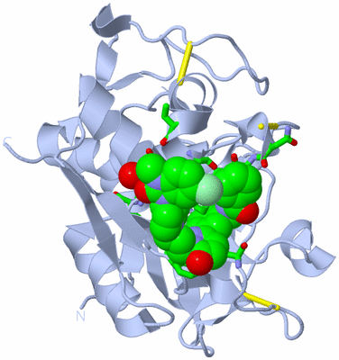 Image Biol. Unit 1 - sites