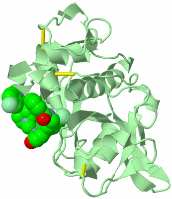 Image Biological Unit 2