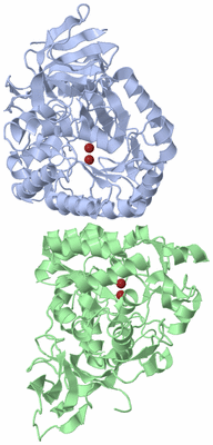 Image Asym./Biol. Unit