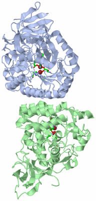 Image Asym./Biol. Unit - sites