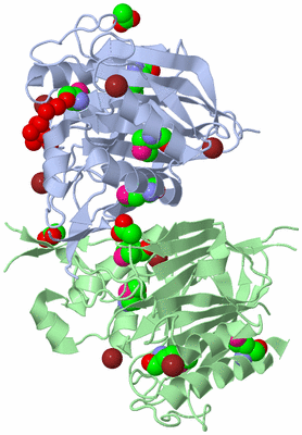 Image Biological Unit 1