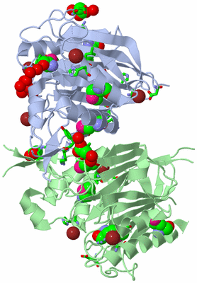 Image Biol. Unit 1 - sites