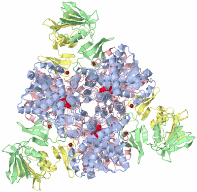 Image Biological Unit 1