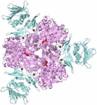 Image Biological Unit 2