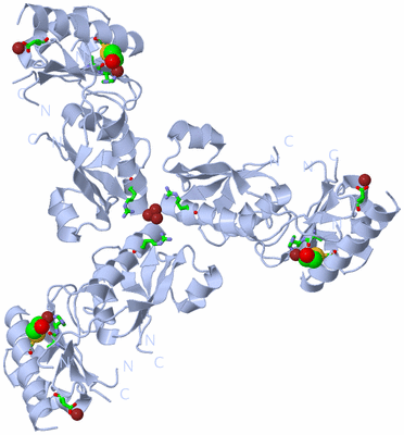 Image Biol. Unit 1 - sites